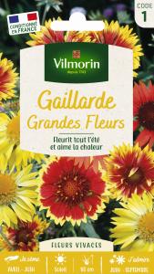 Gaillarde Grandes Fleurs